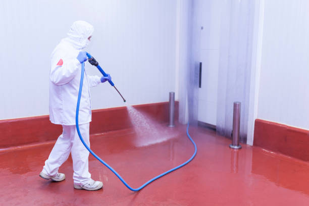 Best Patio and Deck Pressure Washing  in Avon Park, FL