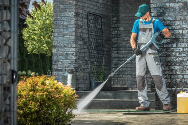 Animal Enclosure Cleaning in Avon Park, FL